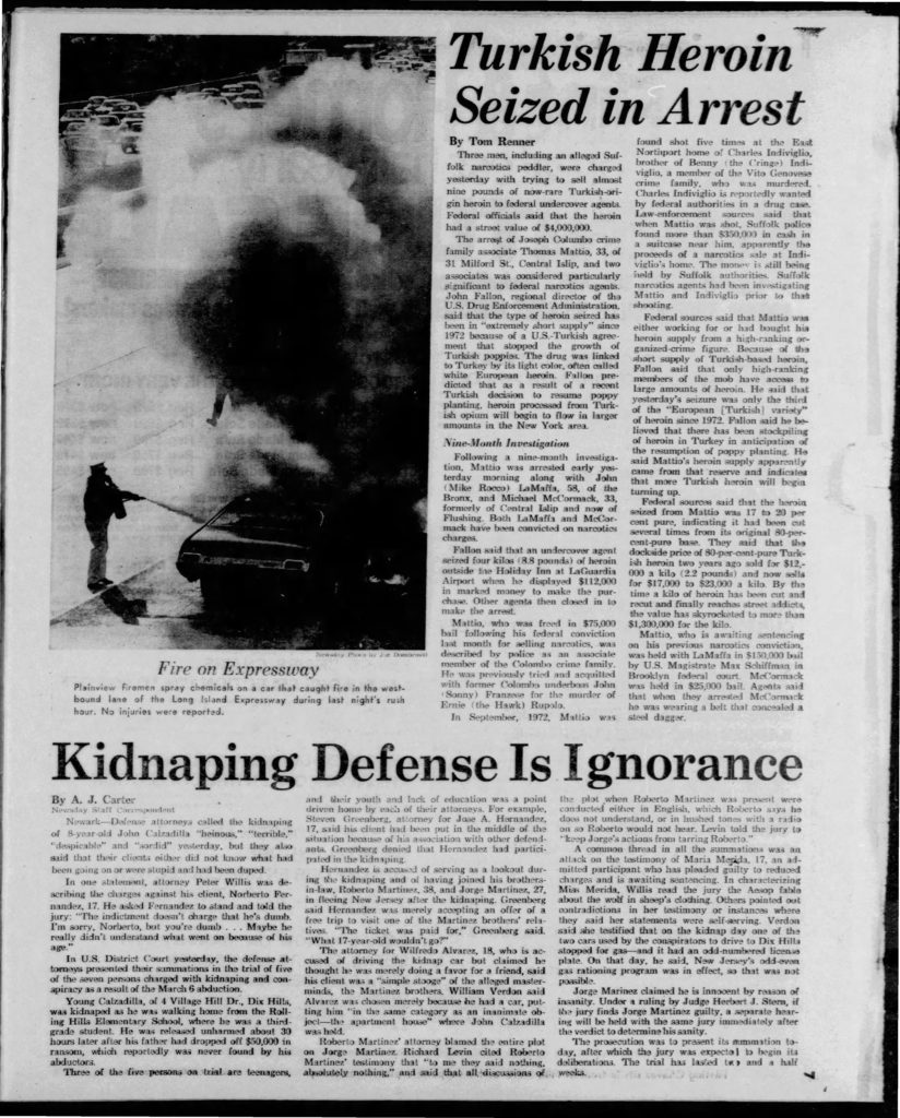 thumbnail of 1974-07-24-Newsday__Nassau_Edition__Wed__Jul_24__1974_p007-OCR-HL-title