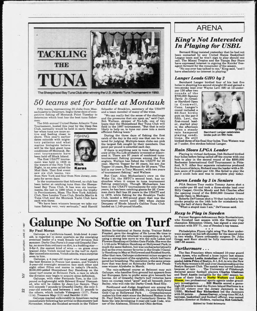 thumbnail of 1987-06-27-Newsday_Sat__Jun_27__1987_p022-OCR-HL-title