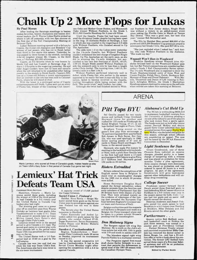 thumbnail of 1987-09-03-Newsday_Thu__Sep_3__1987_p146-OCR-HL-title