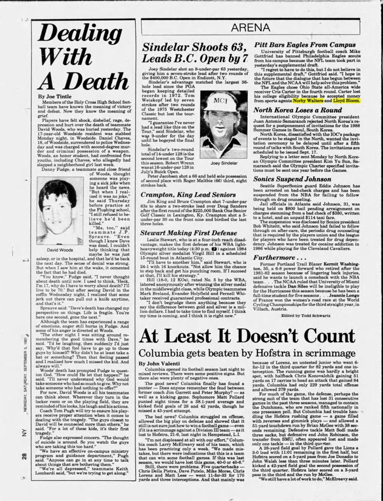 thumbnail of 1987-09-05-Newsday_Sat__Sep_5__1987_p028-OCR-HL-title