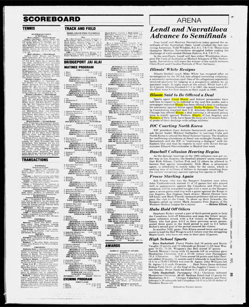 thumbnail of 1988-01-19-Newsday_Tue__Jan_19__1988_p089-OCR-HL-title