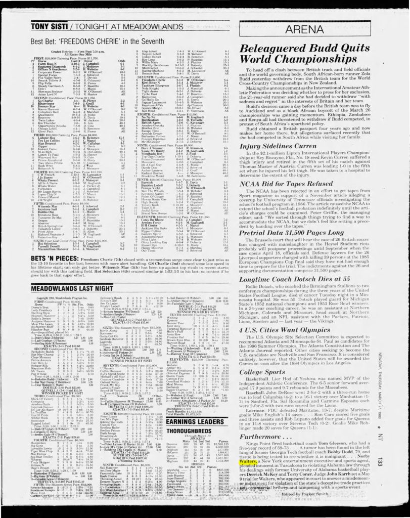 thumbnail of 1988-03-17-Newsday_Thu__Mar_17__1988_p133-OCR-HL-title