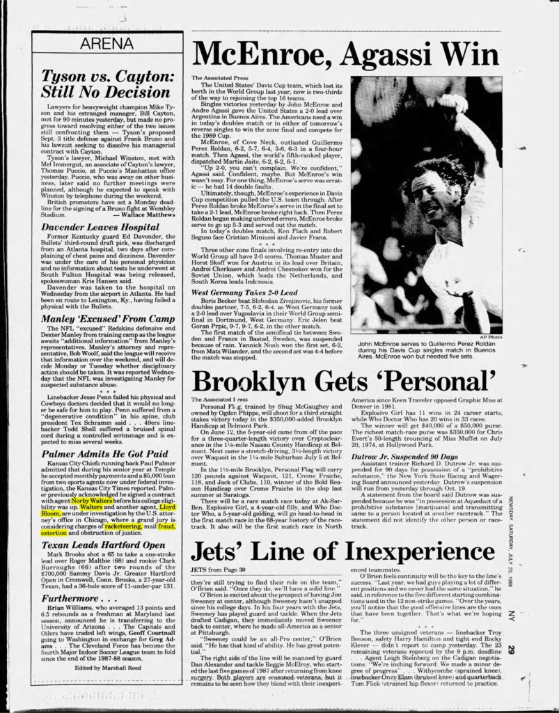 thumbnail of 1988-07-23-Newsday_Sat__Jul_23__1988_p029-OCR-HL-title