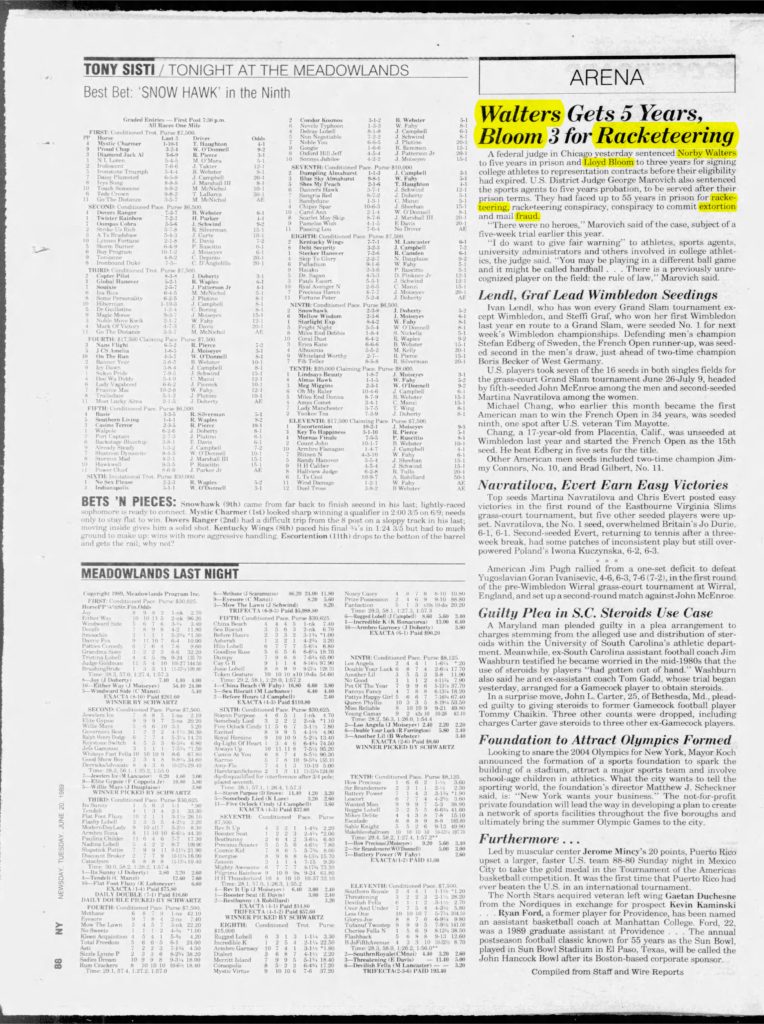 thumbnail of 1989-06-20-Newsday_Tue__Jun_20__1989_p088-OCR-HL-title