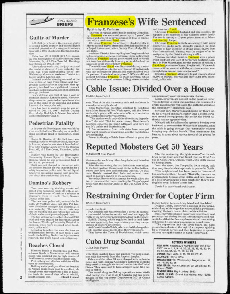 thumbnail of 1989-07-08-Newsday__Nassau_Edition__Sat__Jul_8__1989_p014-OCR-HL-title