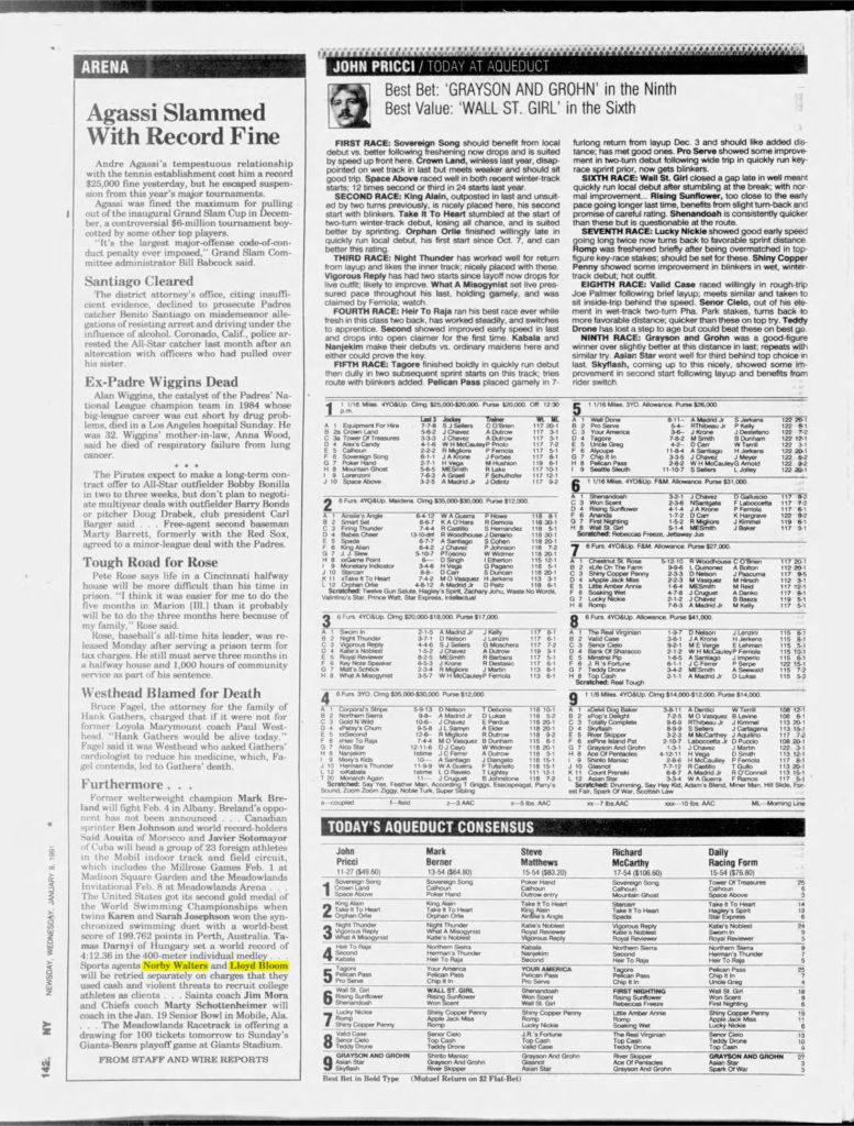 thumbnail of 1991-01-09-Newsday_Wed__Jan_9__1991_p142-OCR-HL-title