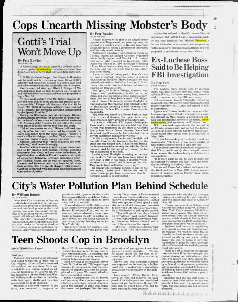 thumbnail of 1991-10-04-Newsday_Fri__Oct_4__1991_p029-OCR-HL-title