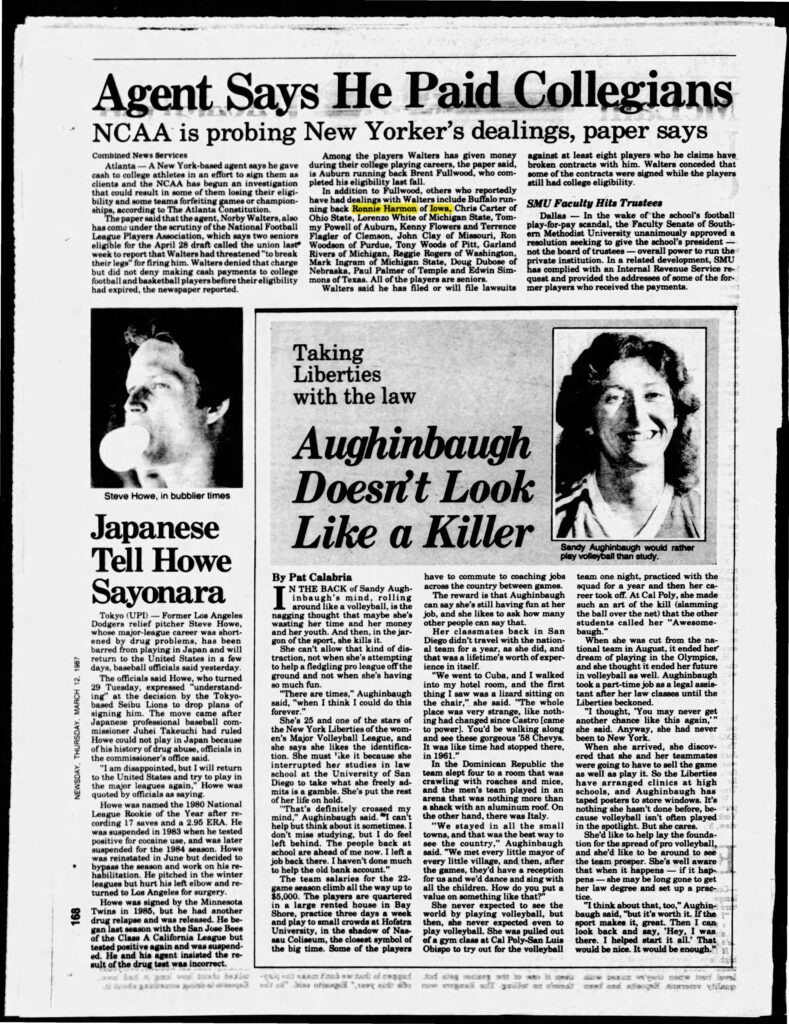 thumbnail of 1987-03-12-Newsday__Nassau_Edition__Thu__Mar_12__1987_p177-OCR-title-HL